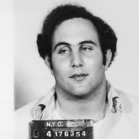 Berkowitz pic