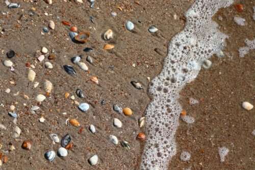 pebbles ocean