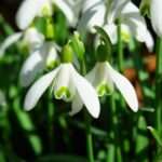 March Vedic Sign Predictions